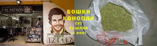 сатива Абинск