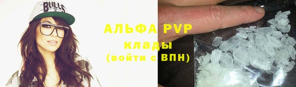 сатива Абинск