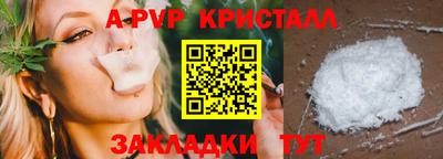крисы Донской