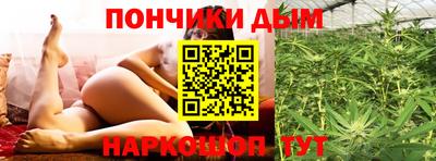 крисы Донской