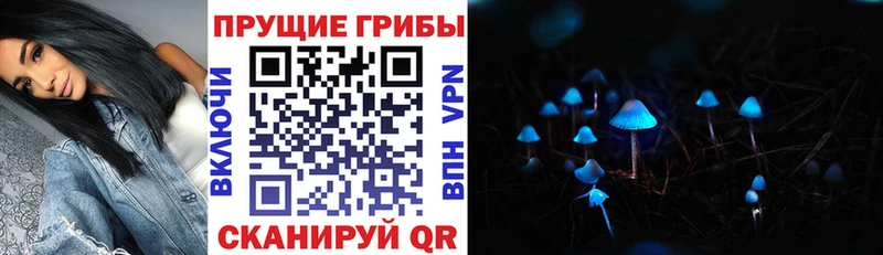 Галлюциногенные грибы Magic Shrooms MEGA ССЫЛКА Советский